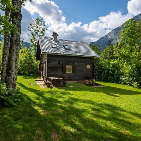 Chalet Tisa Bohinj Dış mekan fotoğraf