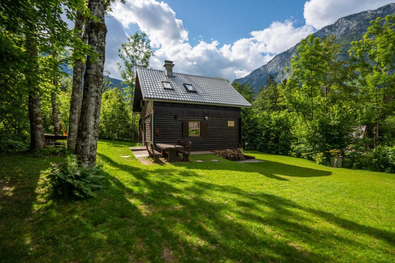 Chalet Tisa Bohinj Dış mekan fotoğraf