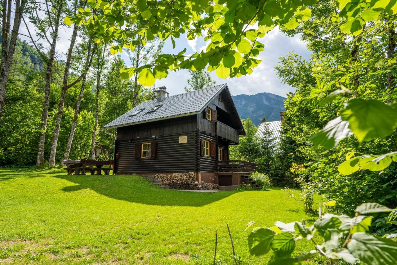 Chalet Tisa Bohinj Dış mekan fotoğraf